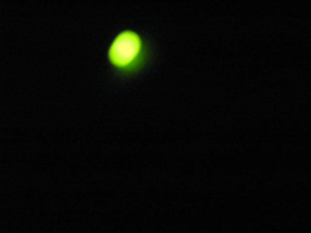 f0146802_21194437.jpg