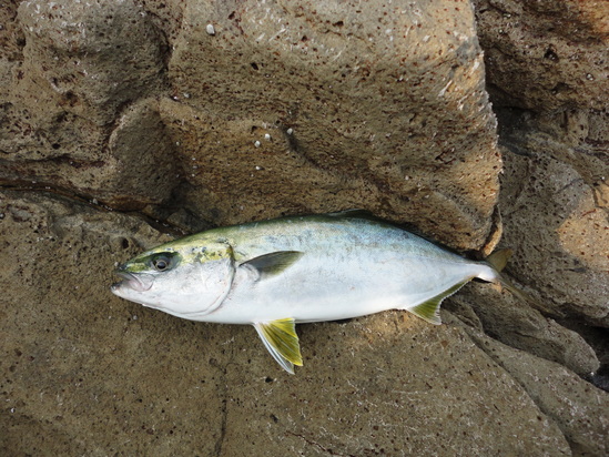 f0035404_2254025.jpg