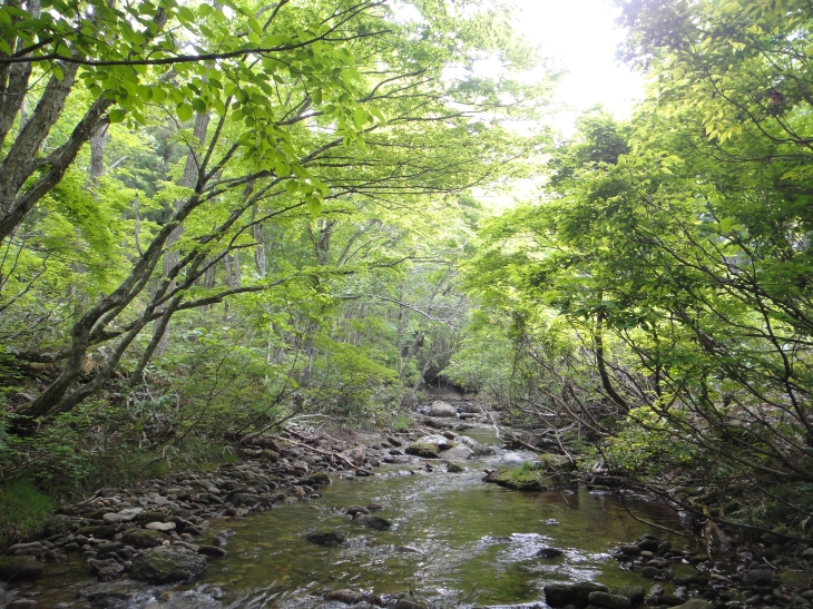 b0172805_13385921.jpg