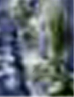 e0103408_18365385.jpg