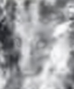e0103408_18541918.jpg