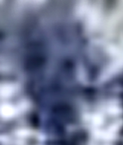 e0103408_18543452.jpg