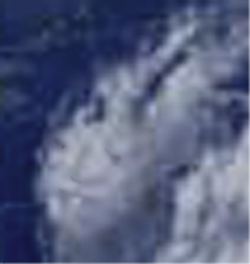 e0103408_18544464.jpg