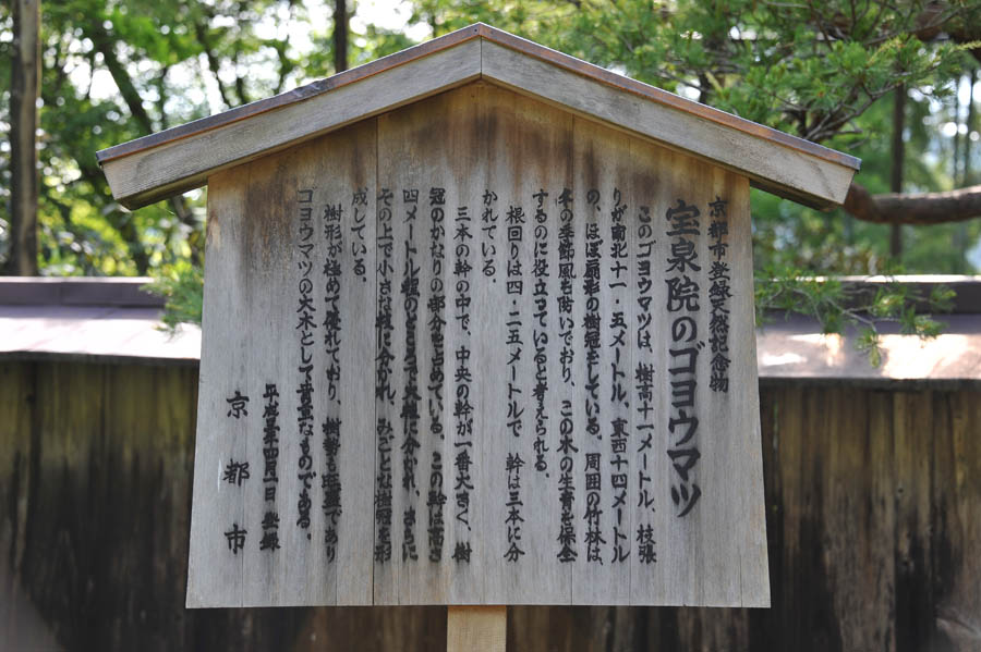 三千院 と 五葉松 (京都)_a0042310_10111932.jpg