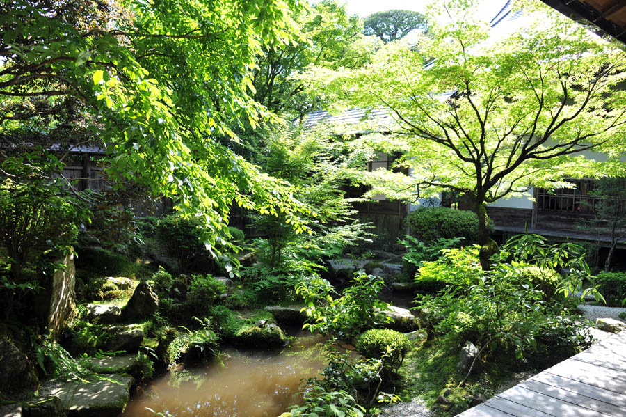 三千院 と 五葉松 (京都)_a0042310_10122458.jpg