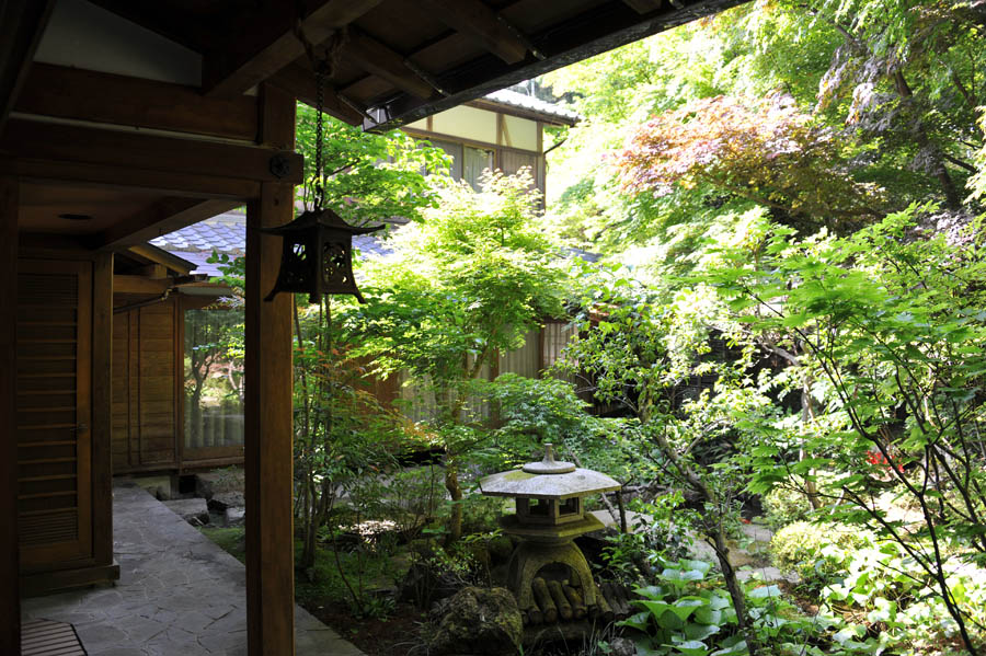 三千院 と 五葉松 (京都)_a0042310_10124546.jpg