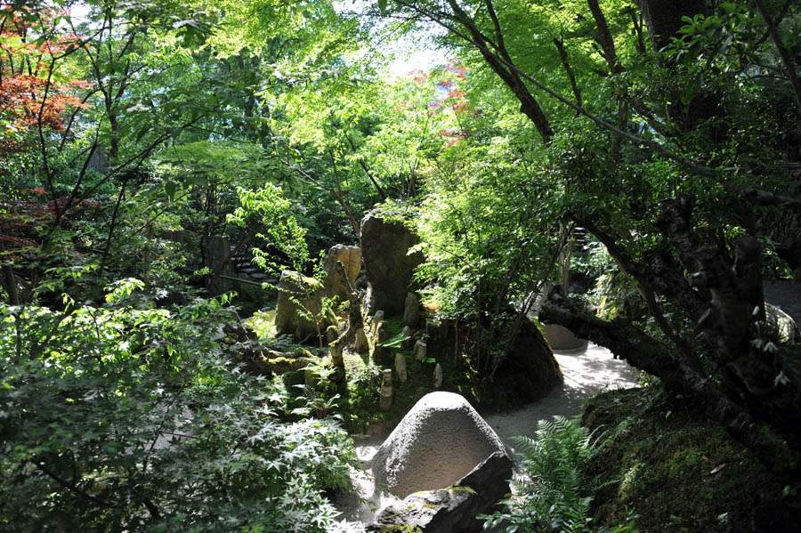 三千院 と 五葉松 (京都)_a0042310_10205951.jpg