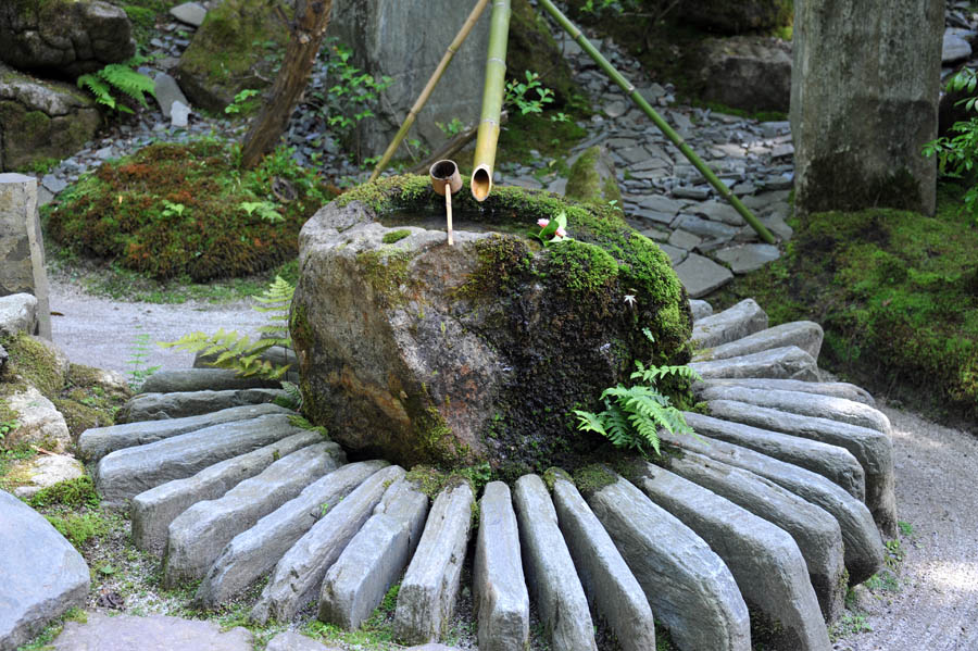 三千院 と 五葉松 (京都)_a0042310_10211785.jpg