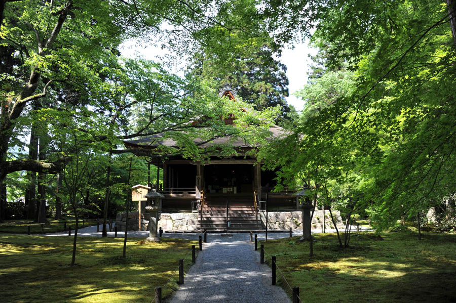 三千院 と 五葉松 (京都)_a0042310_1022434.jpg