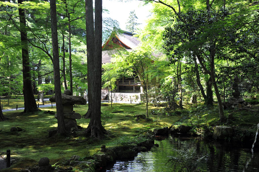 三千院 と 五葉松 (京都)_a0042310_1023665.jpg