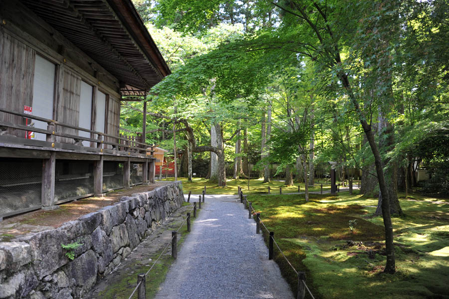 三千院 と 五葉松 (京都)_a0042310_102983.jpg