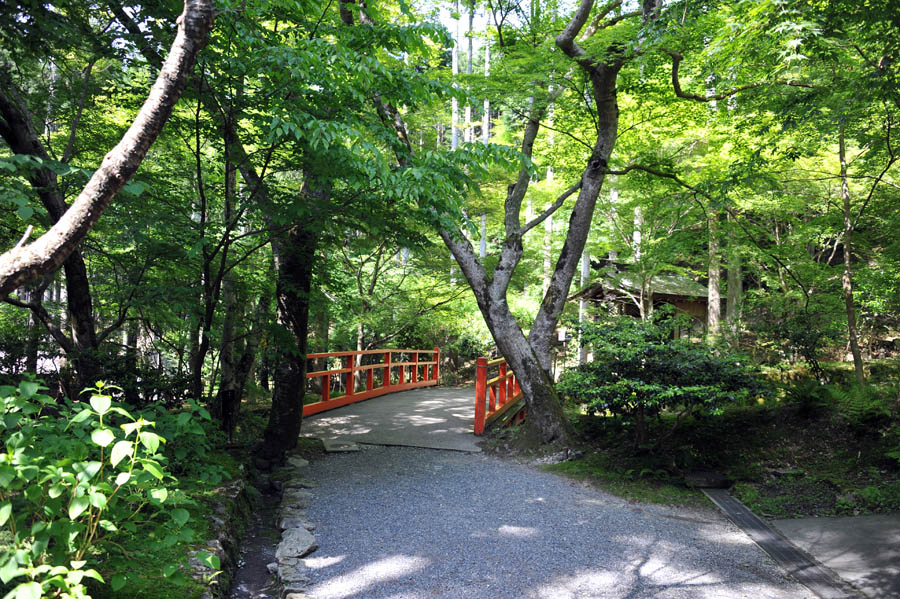 三千院 と 五葉松 (京都)_a0042310_1041329.jpg
