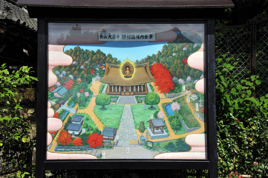 三千院 と 五葉松 (京都)_a0042310_105217.jpg