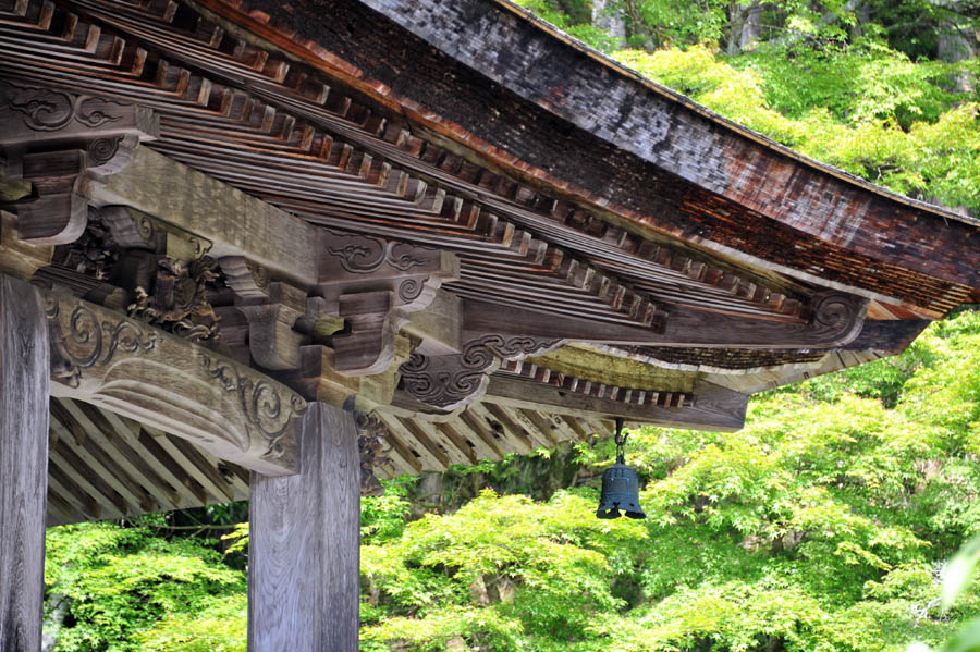 三千院 と 五葉松 (京都)_a0042310_1064689.jpg