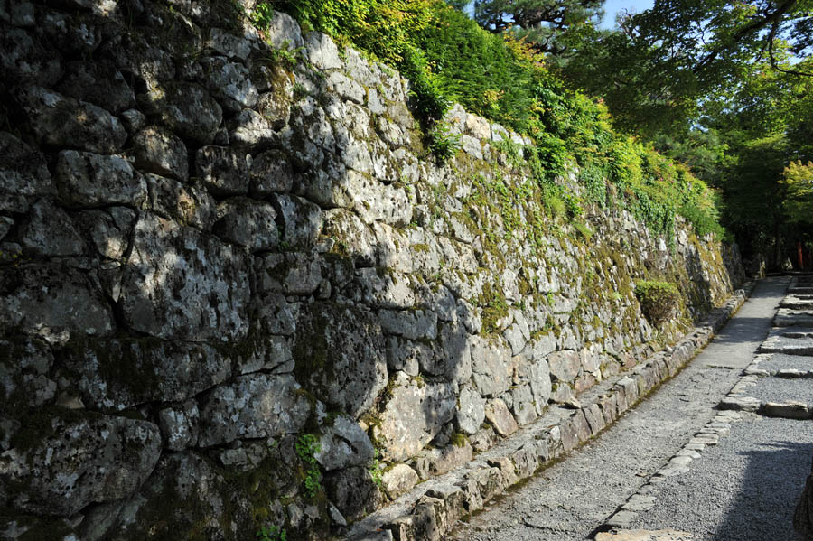 三千院 と 五葉松 (京都)_a0042310_106545.jpg