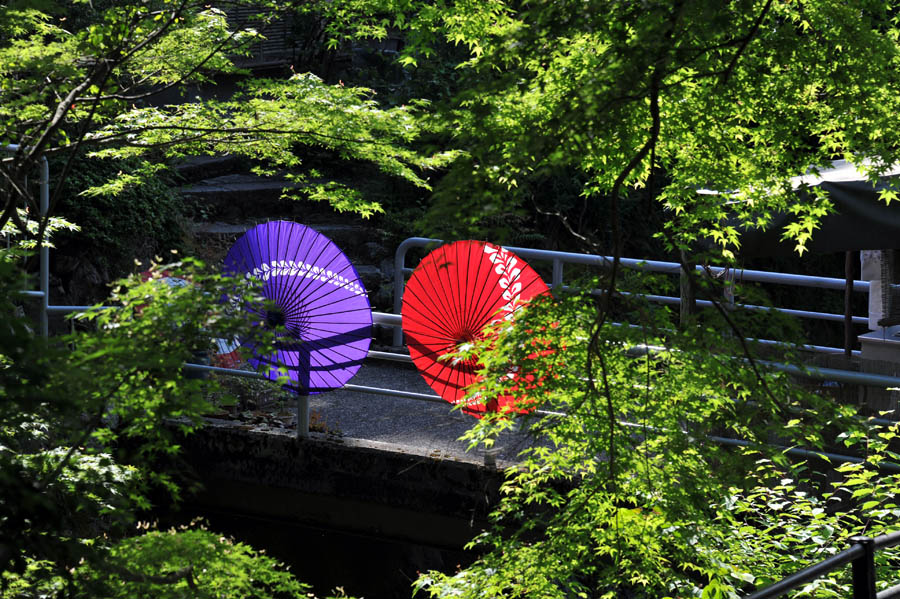 三千院 と 五葉松 (京都)_a0042310_107429.jpg