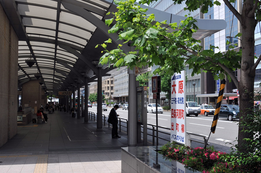 三千院 と 五葉松 (京都)_a0042310_951289.jpg