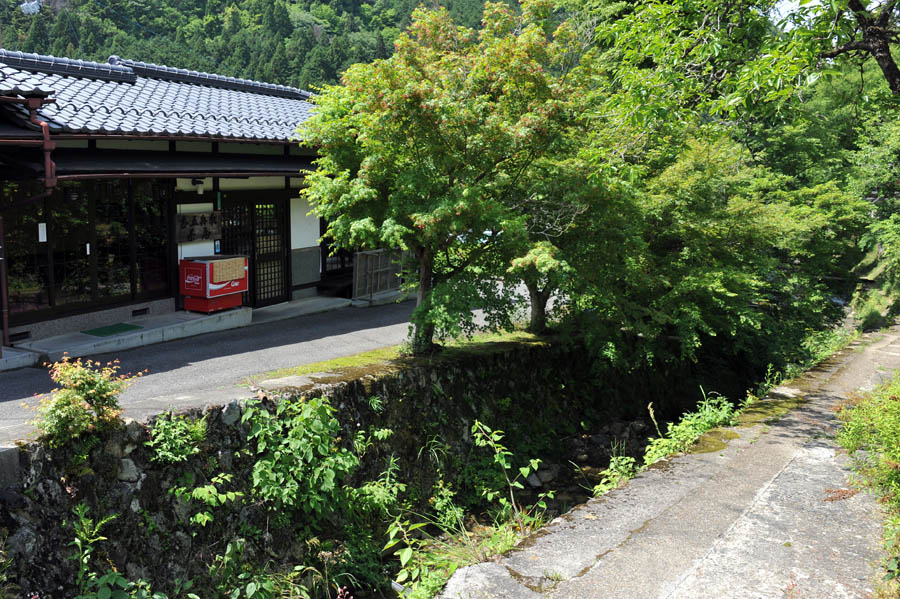 三千院 と 五葉松 (京都)_a0042310_9534959.jpg