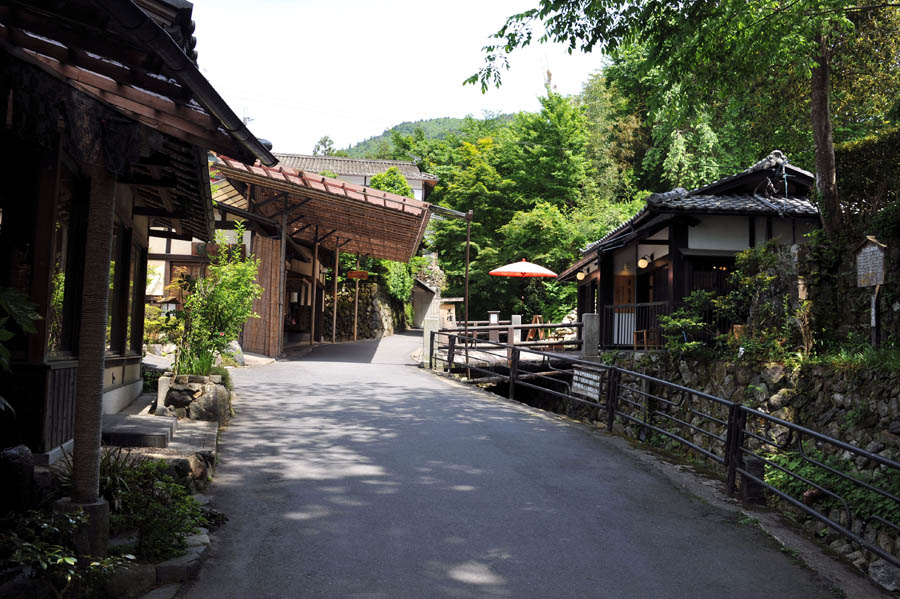 三千院 と 五葉松 (京都)_a0042310_9541362.jpg