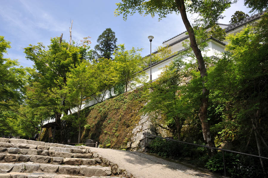 三千院 と 五葉松 (京都)_a0042310_956774.jpg