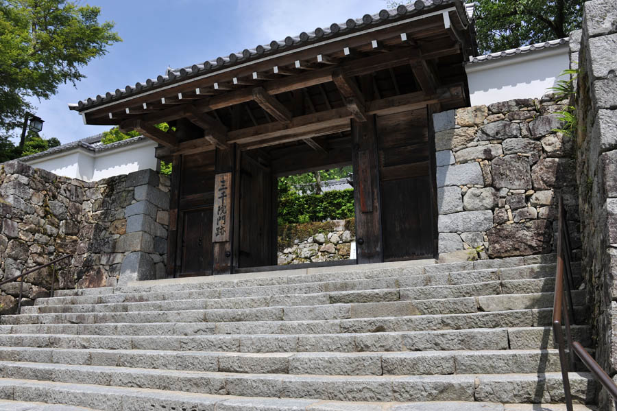 三千院 と 五葉松 (京都)_a0042310_9574893.jpg