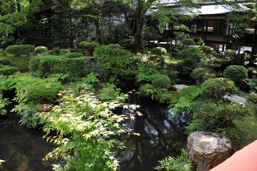三千院 と 五葉松 (京都)_a0042310_95939100.jpg