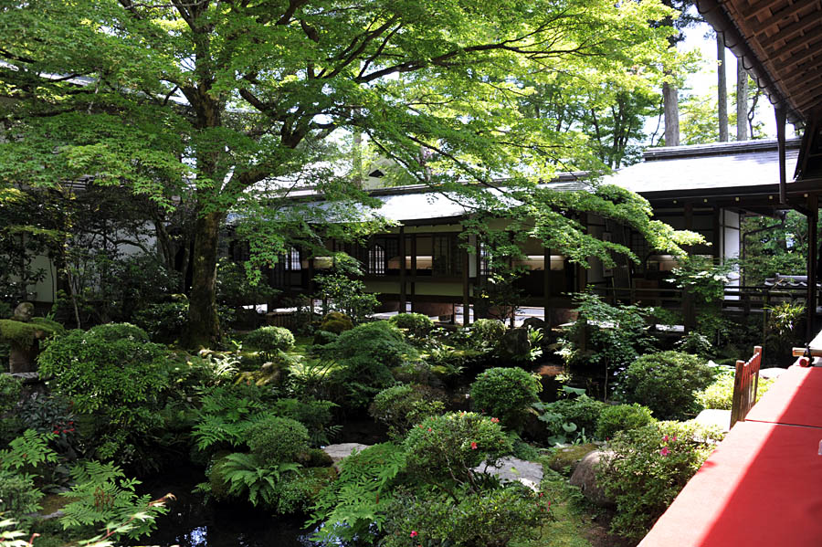 三千院 と 五葉松 (京都)_a0042310_9595139.jpg