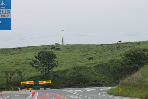 b0176210_942654.jpg