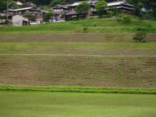a0129311_1383184.jpg
