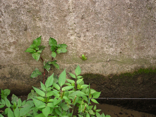 a0129311_1413150.jpg