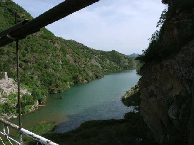 e0049318_1754956.jpg