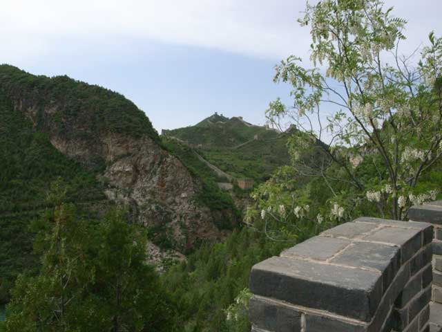 e0049318_17562090.jpg