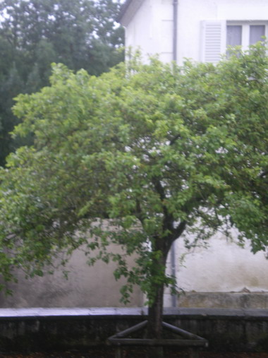 c0124619_47229.jpg