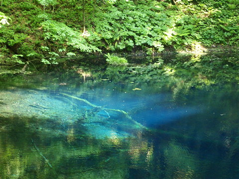 十二湖青池(深浦町)*2011.06.06_b0147224_23191383.jpg