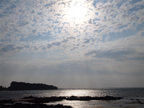 十二湖青池(深浦町)*2011.06.06_b0147224_23414410.jpg