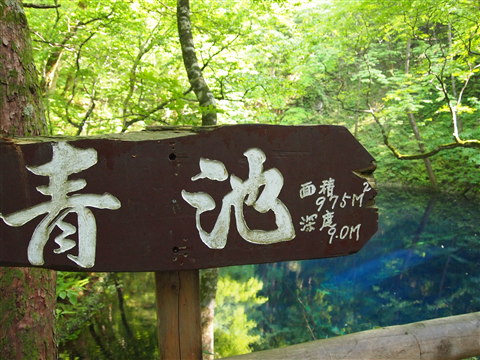 十二湖青池(深浦町)*2011.06.06_b0147224_239186.jpg