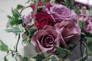 d0140329_17525387.gif