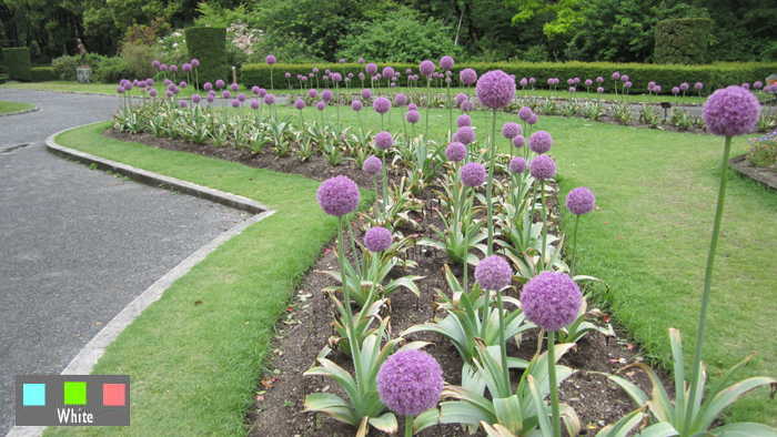 （植物）京都府立植物園_c0227134_2224077.jpg