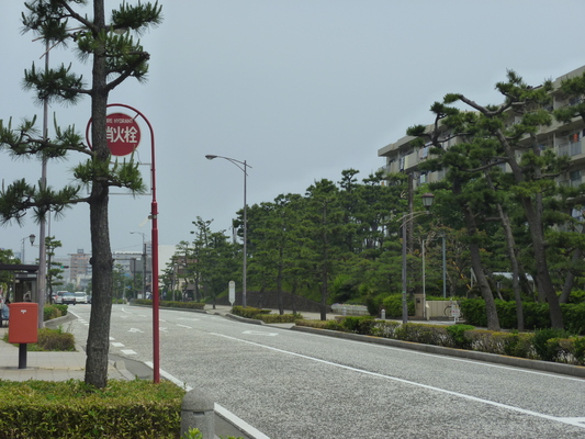 湘南の風吹くお洒落な街・平塚_d0170835_2018385.jpg