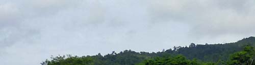 b0063436_11425192.jpg
