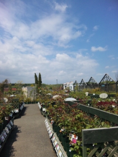 f0219840_2218550.jpg