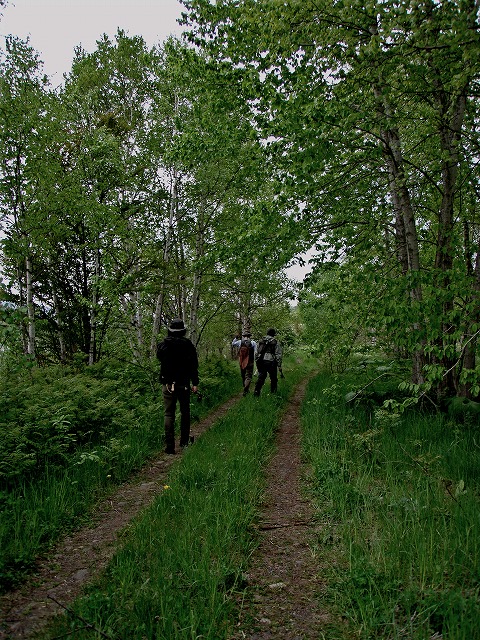 d0075843_19211066.jpg
