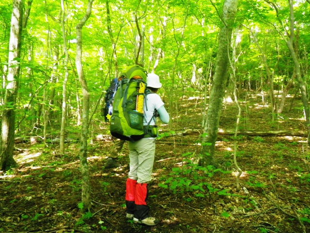 e0166045_20142042.jpg