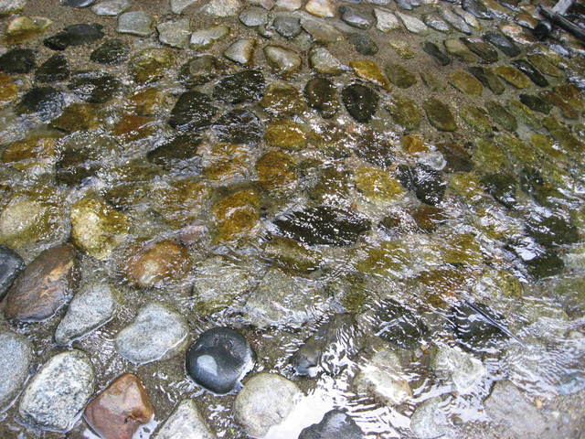 d0204646_21352396.jpg