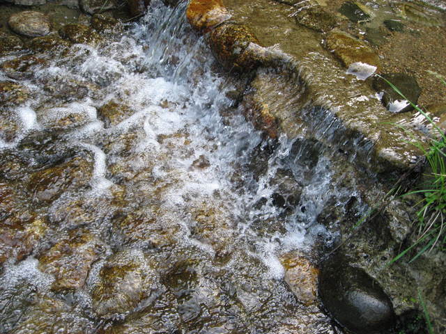d0204646_21394526.jpg