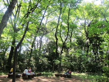 “自然教育園”で天然酸素カプセル！_f0197246_320070.jpg