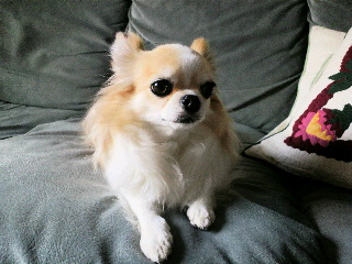 f0188652_63021.jpg