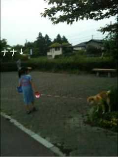 犬の散歩_c0150359_8324121.jpg