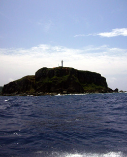 d0113459_921099.jpg