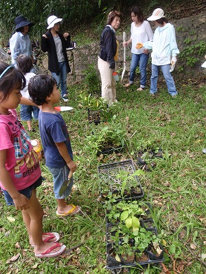 c0180460_117491.jpg
